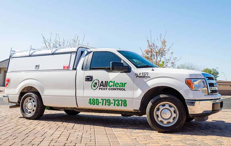 Experience a Pest-Free Environment with All Clear Pest Control's Professional and Affordable Pest Control Services in San Tan Valley, AZ