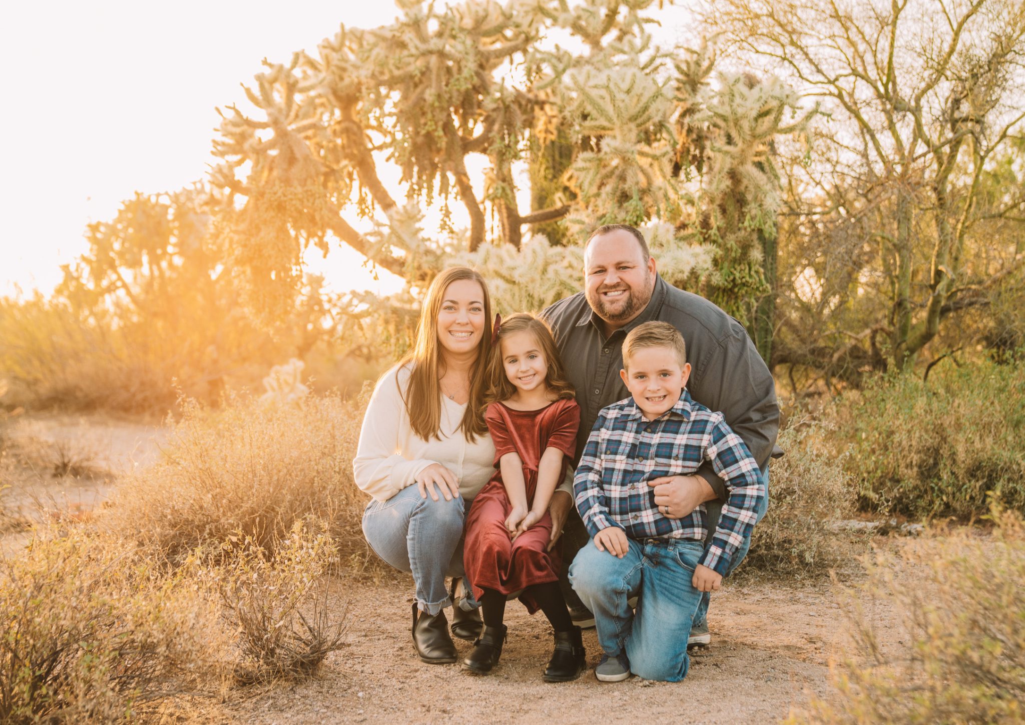 Pest Control Queen Creek AZ 5Star Solution to Pest Problems