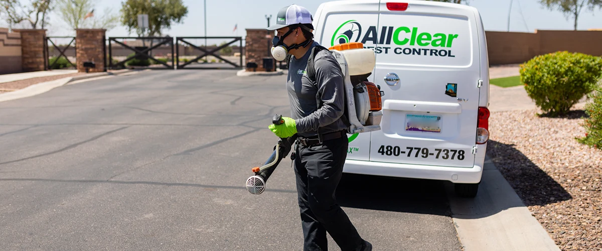 Pest Control Services Queen Creek AZ Termites, Scorpions, Ticks...