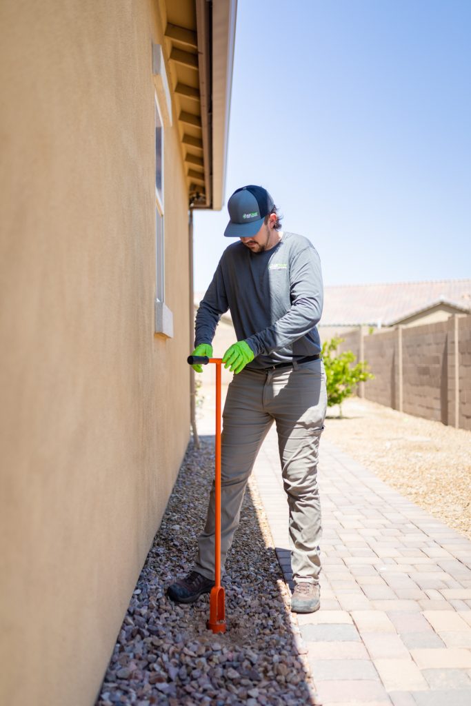All Clear Termite Control Queen Creek AZ