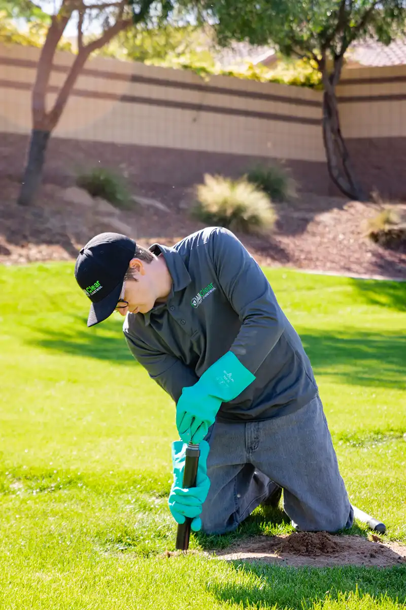 Gopher Control Coupon - All Clear Pest Control - Queen Creek AZ