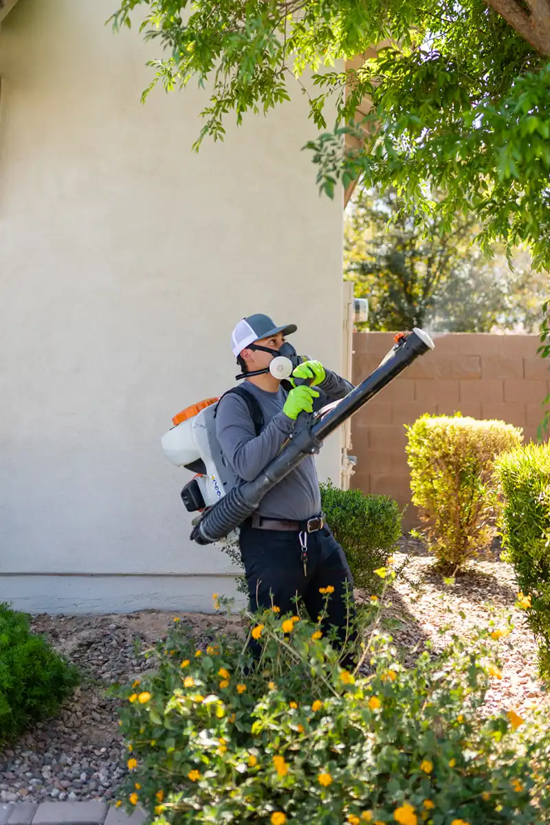 Mosquito Control Coupon - All Clear Pest Control - Queen Creek AZ
