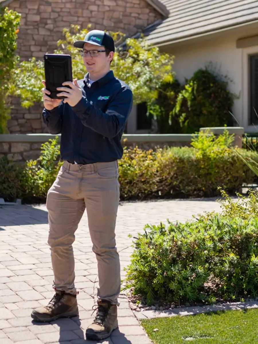 Pest Control Specials and Discounts - All Clear Pest Control - Phoenix AZ