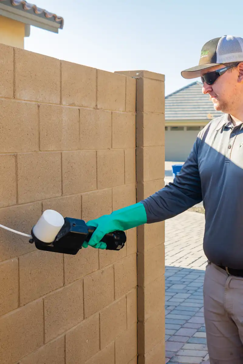 Scorpion Control Coupon - All Clear Pest Control - Queen Creek AZ