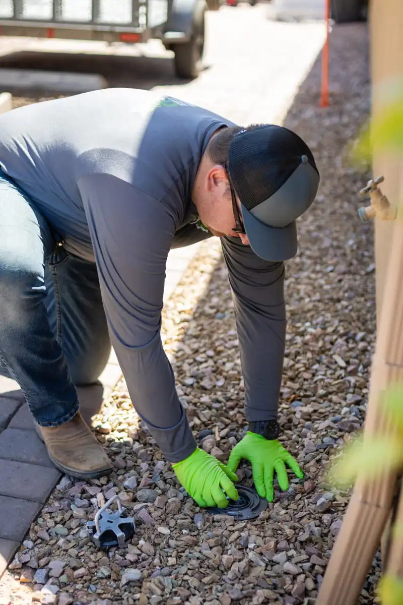 Termite Control Coupon - All Clear Pest Control - Queen Creek AZ